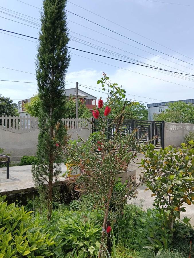 Natia Guest House 科布列季 外观 照片